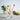 Brosse à dent en bamboo pour enfants Toothbrushes Ola Bamboo