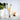 Brosse à dents en bambou au charbon Toothbrushes Ola Bamboo
